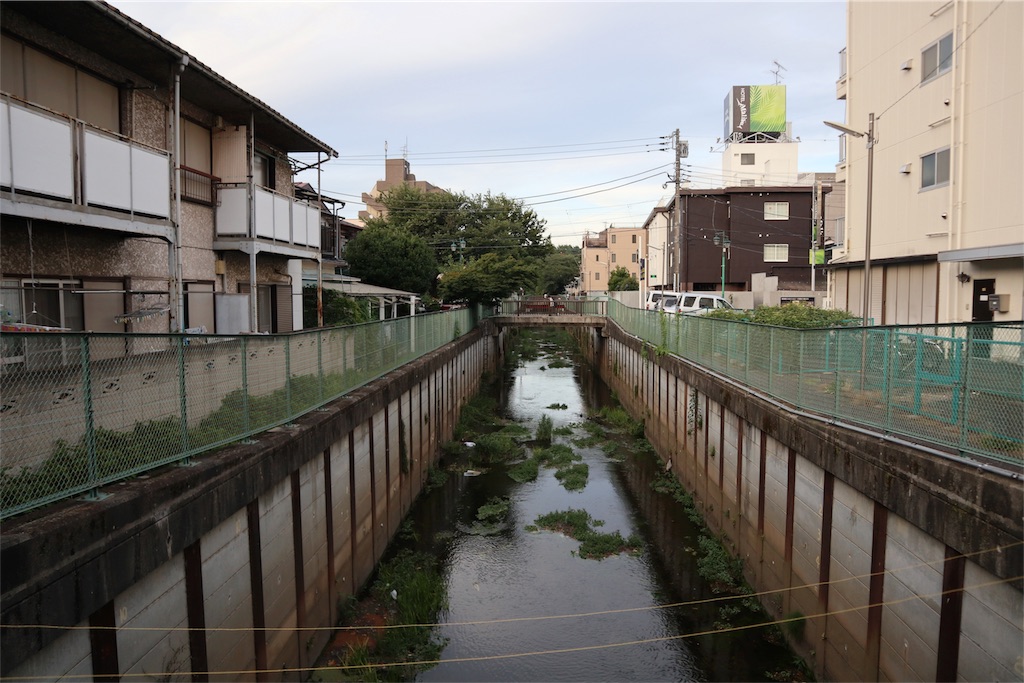 f:id:chizuchizuko:20180708104239j:image