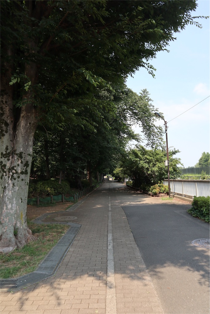 f:id:chizuchizuko:20180809173654j:image