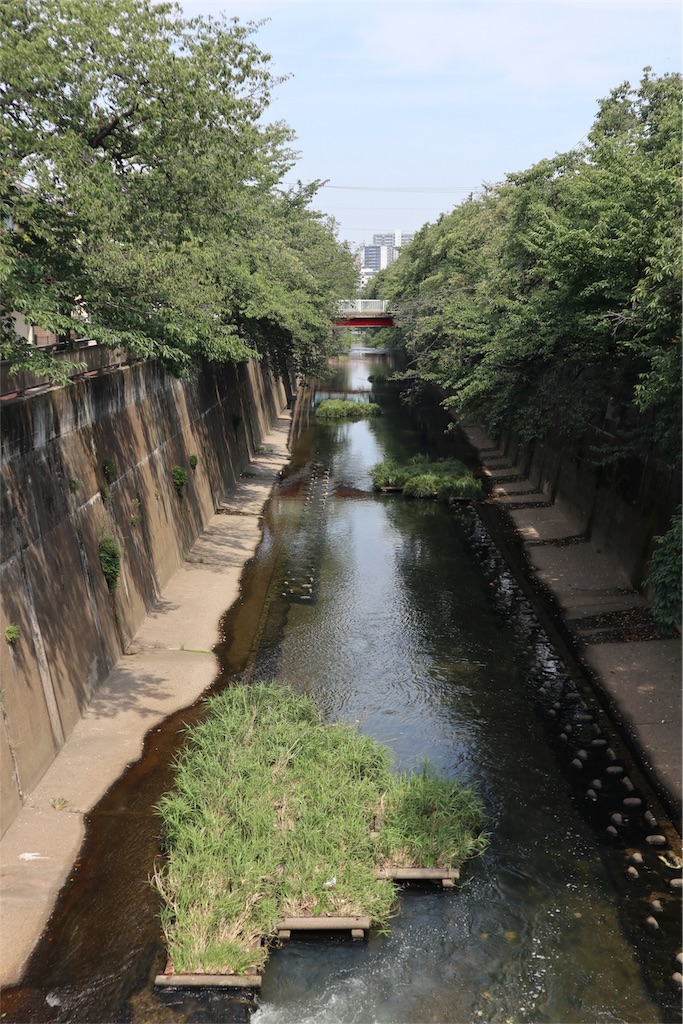 f:id:chizuchizuko:20180809173939j:image