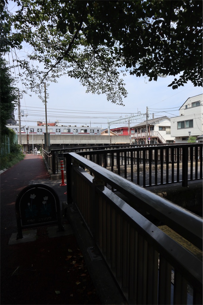 f:id:chizuchizuko:20180809173957j:image