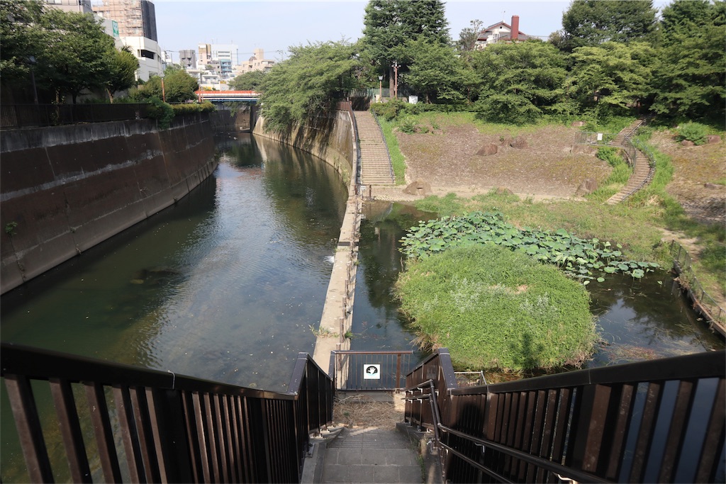 f:id:chizuchizuko:20180809174159j:image