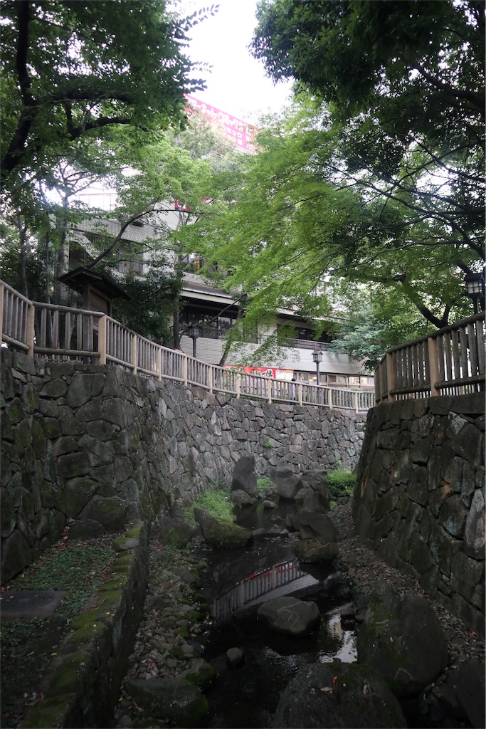 f:id:chizuchizuko:20180809174402j:image
