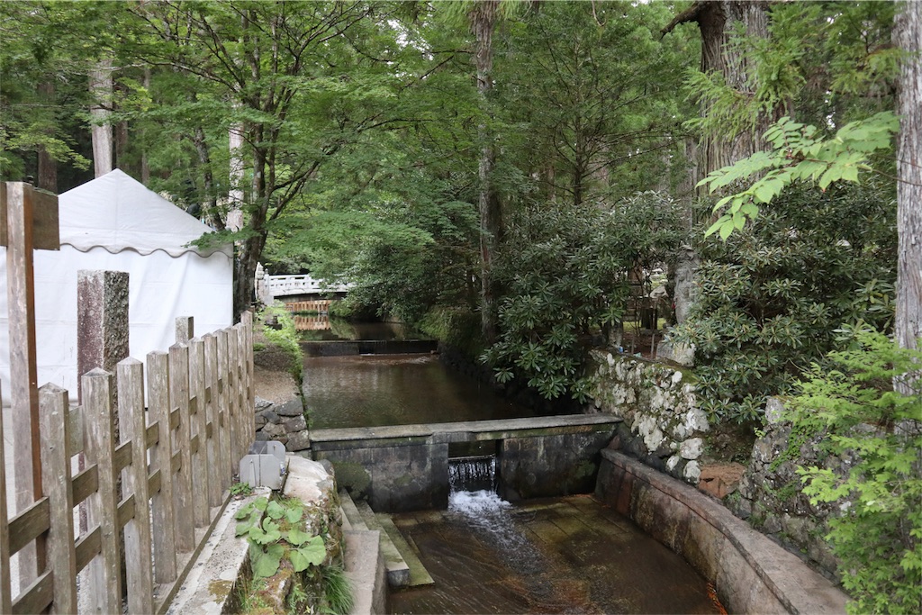 f:id:chizuchizuko:20180817174506j:image