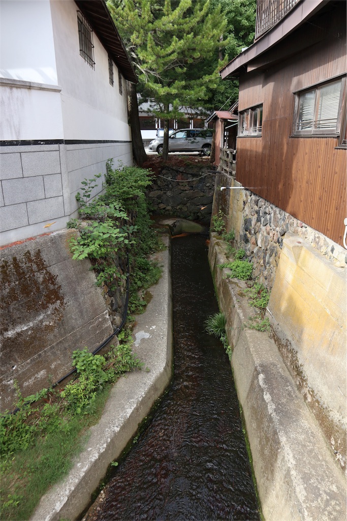 f:id:chizuchizuko:20180817174535j:image
