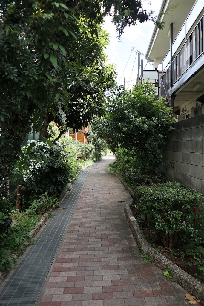 f:id:chizuchizuko:20180909092953j:image