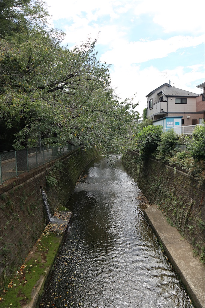 f:id:chizuchizuko:20180909093523j:image