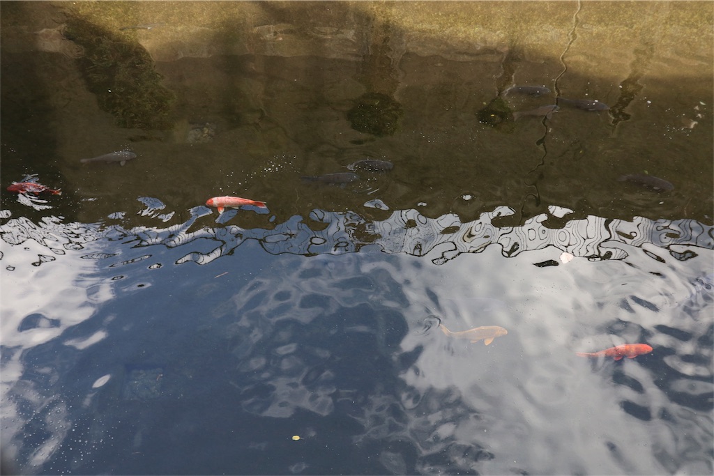 f:id:chizuchizuko:20180909094054j:image f:id:chizuchizuko:20180909094054j:image