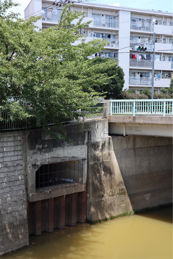 f:id:chizuchizuko:20180911203050j:image