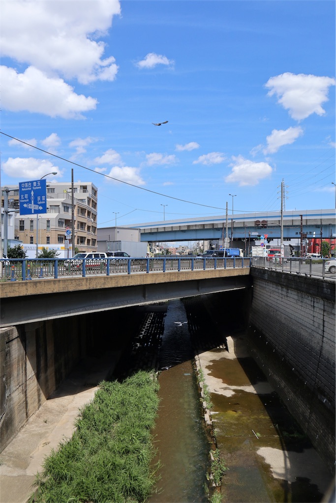 f:id:chizuchizuko:20180911203221j:image