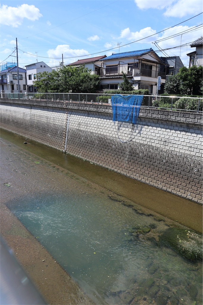 f:id:chizuchizuko:20180911203257j:image