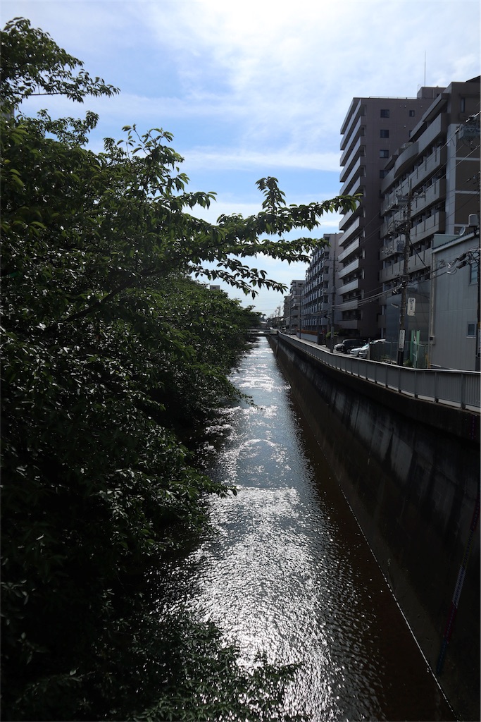 f:id:chizuchizuko:20180911203545j:image