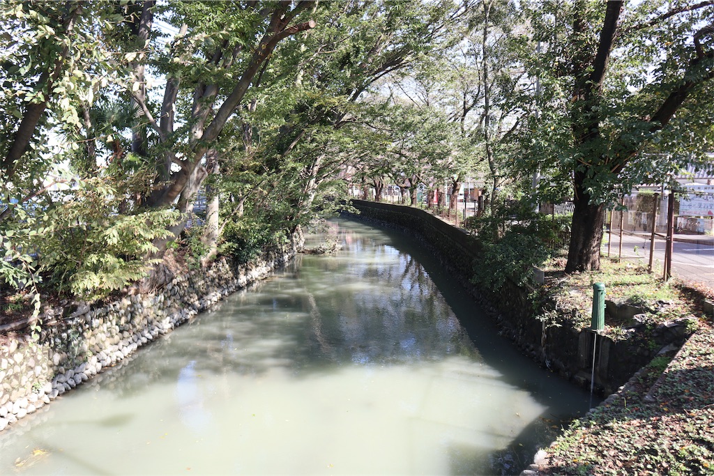 f:id:chizuchizuko:20181101224455j:image f:id:chizuchizuko:20181101224455j:image