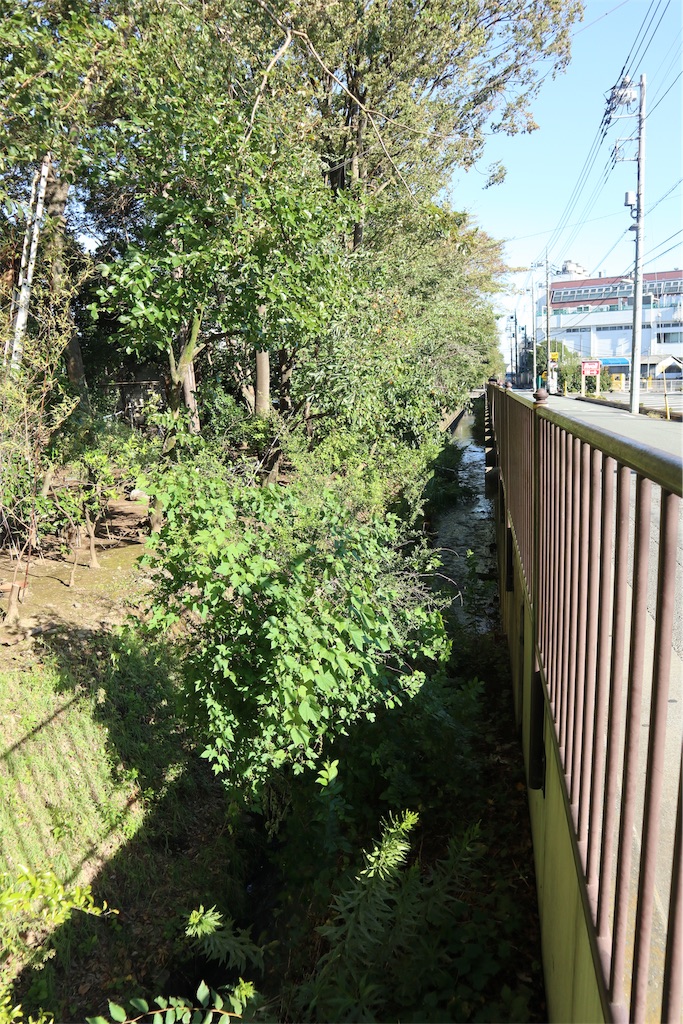 f:id:chizuchizuko:20181101224527j:image f:id:chizuchizuko:20181101224527j:image