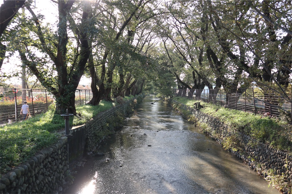f:id:chizuchizuko:20181101225221j:image f:id:chizuchizuko:20181101225221j:image