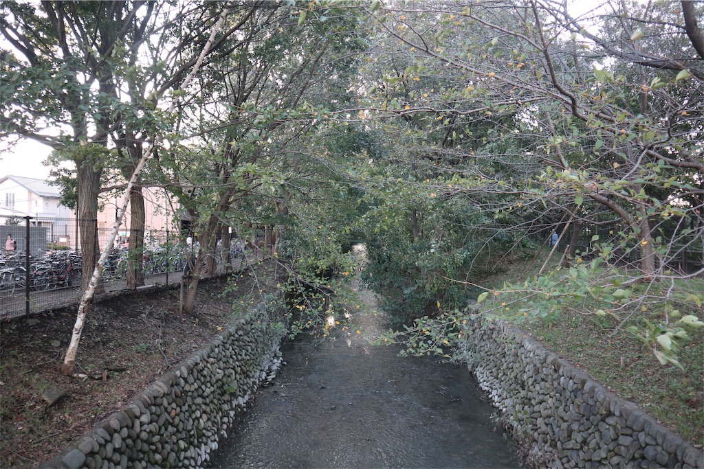 f:id:chizuchizuko:20181101225243j:image f:id:chizuchizuko:20181101225243j:image
