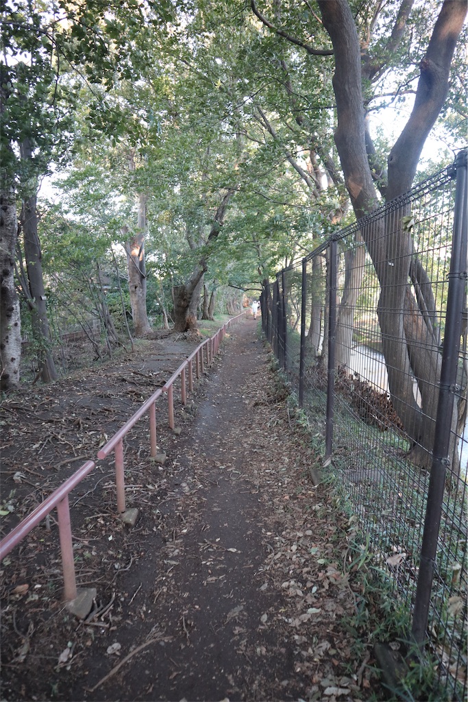f:id:chizuchizuko:20181101225250j:image f:id:chizuchizuko:20181101225250j:image