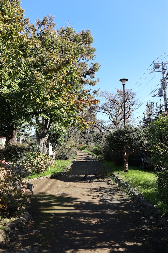 f:id:chizuchizuko:20181118120624j:image f:id:chizuchizuko:20181118120624j:image