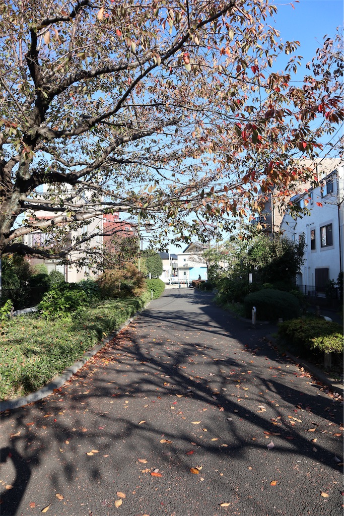 f:id:chizuchizuko:20181118122014j:image f:id:chizuchizuko:20181118122014j:image
