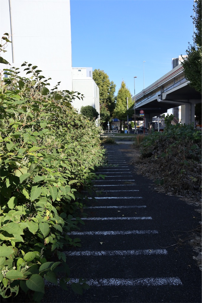 f:id:chizuchizuko:20181118122040j:image f:id:chizuchizuko:20181118122040j:image