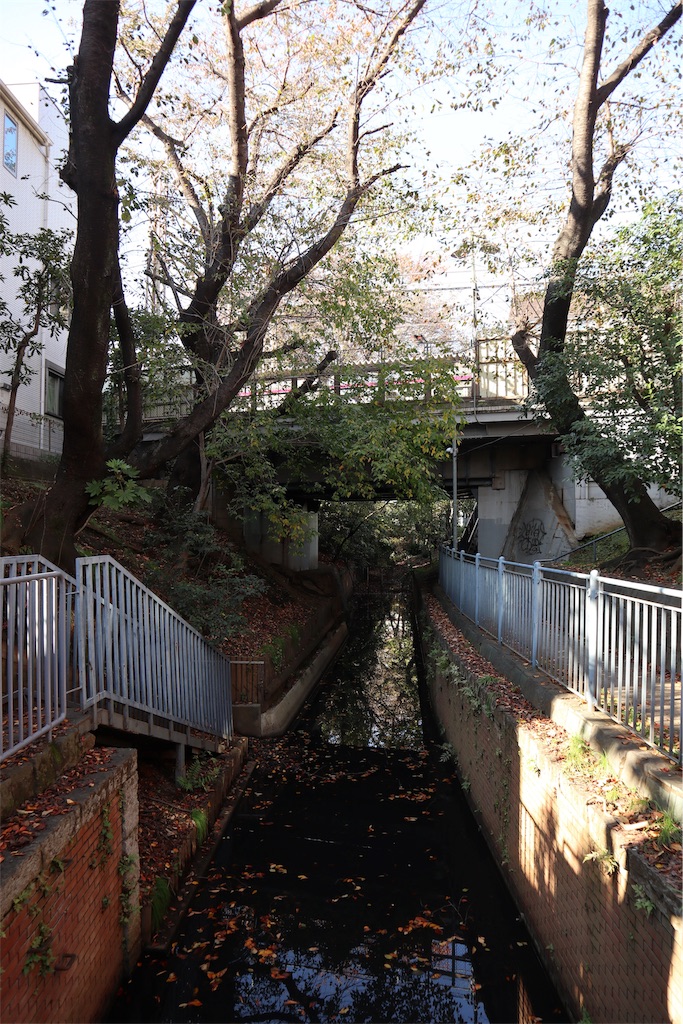 f:id:chizuchizuko:20181118122242j:image f:id:chizuchizuko:20181118122242j:image