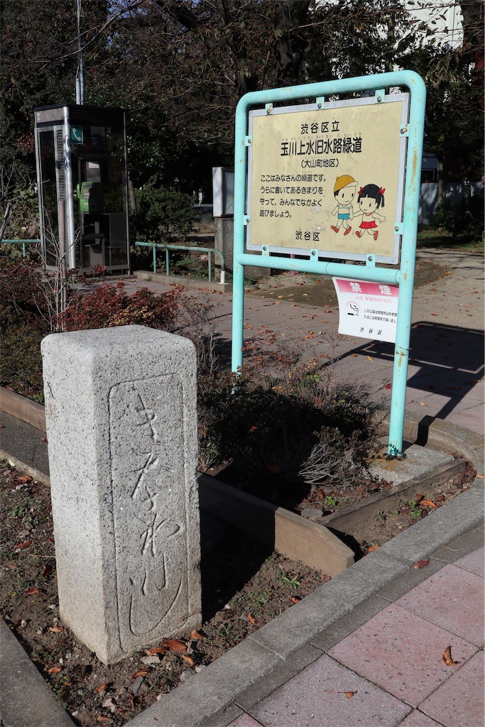f:id:chizuchizuko:20181118122604j:image f:id:chizuchizuko:20181118122604j:image
