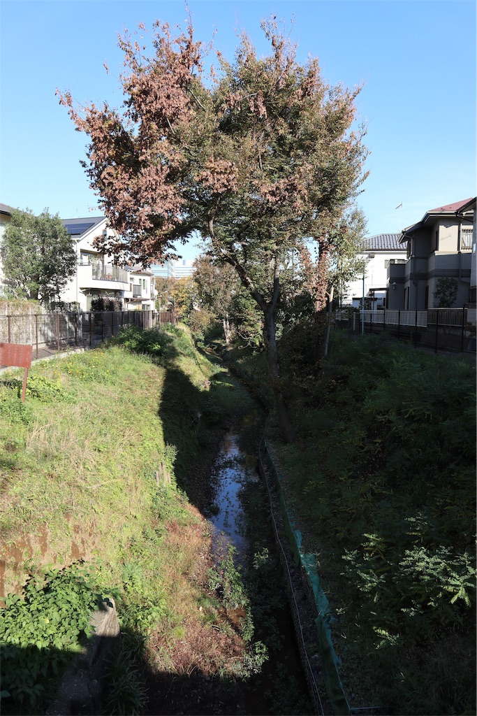 f:id:chizuchizuko:20181118122923j:image f:id:chizuchizuko:20181118122923j:image