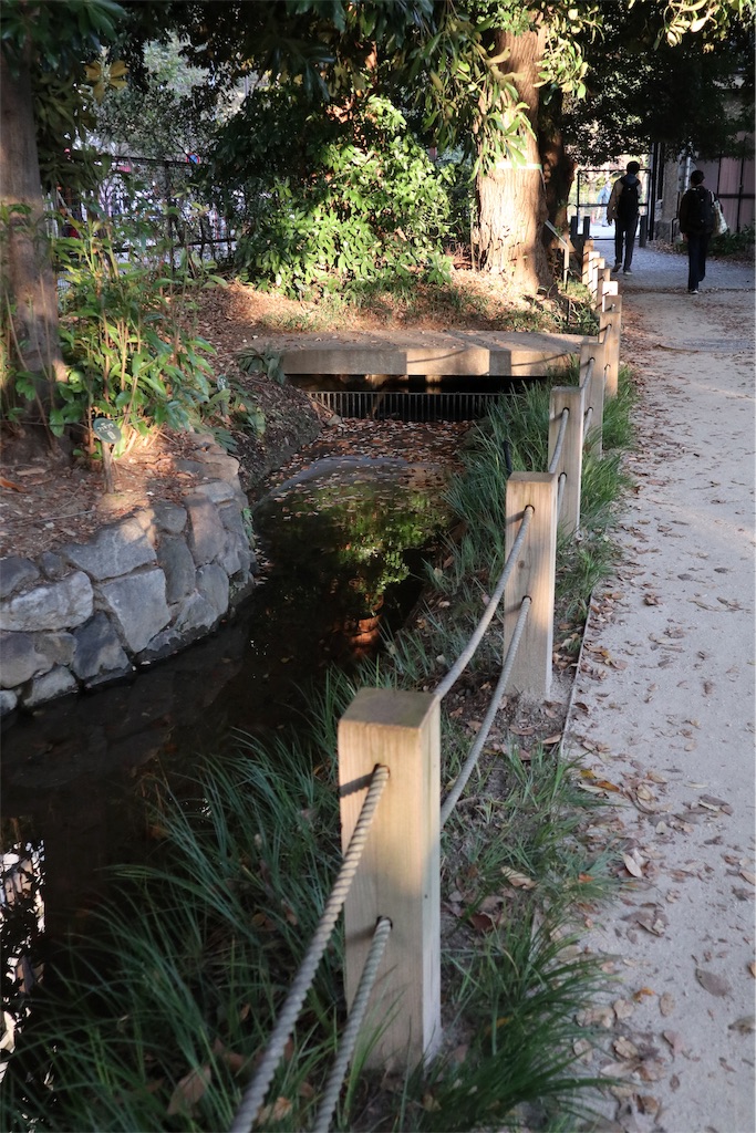 f:id:chizuchizuko:20181118123348j:image f:id:chizuchizuko:20181118123348j:image