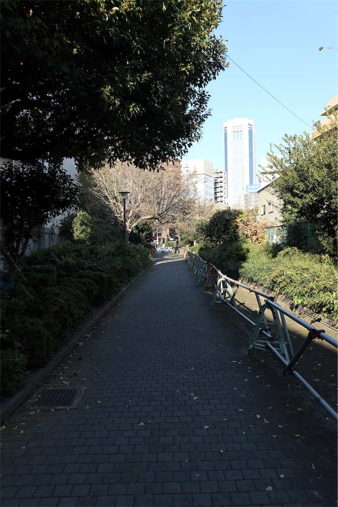 f:id:chizuchizuko:20181118164848j:image f:id:chizuchizuko:20181118164848j:image