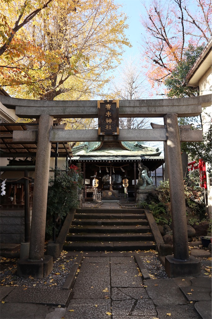 f:id:chizuchizuko:20181215175841j:image f:id:chizuchizuko:20181215175841j:image