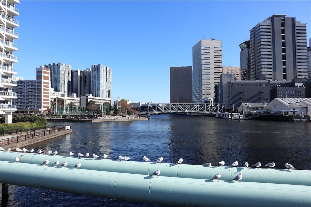 f:id:chizuchizuko:20181215175847j:image f:id:chizuchizuko:20181215175847j:image