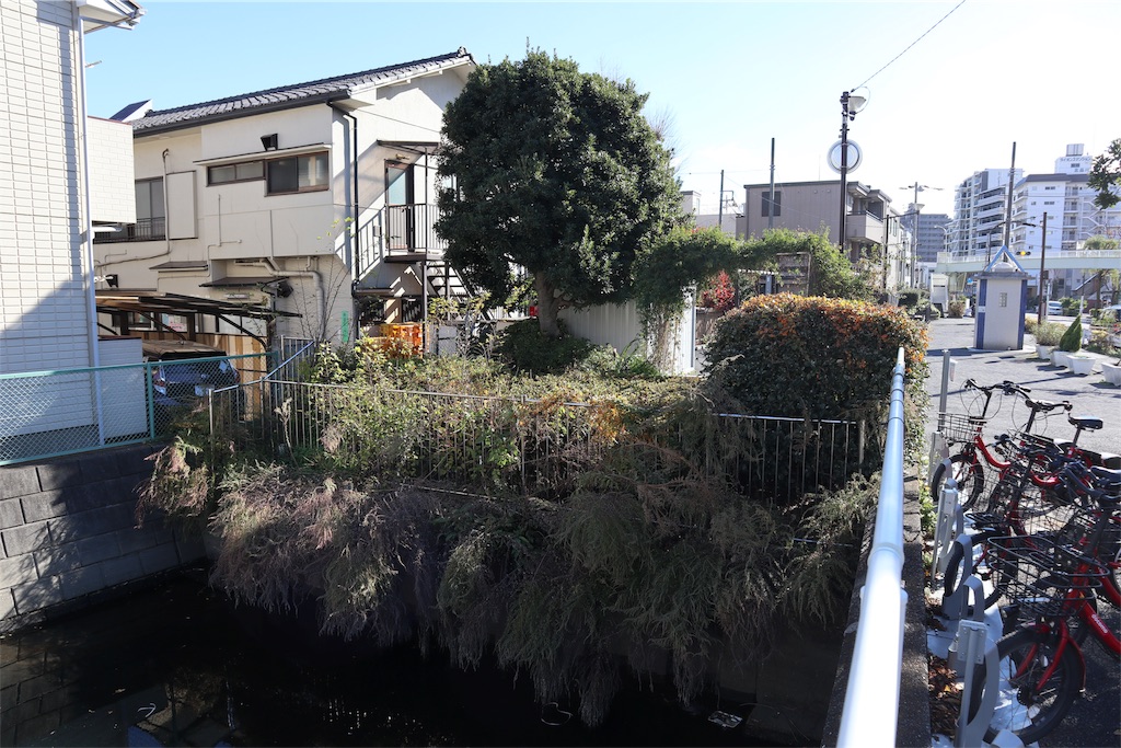 f:id:chizuchizuko:20181215175935j:image f:id:chizuchizuko:20181215175935j:image