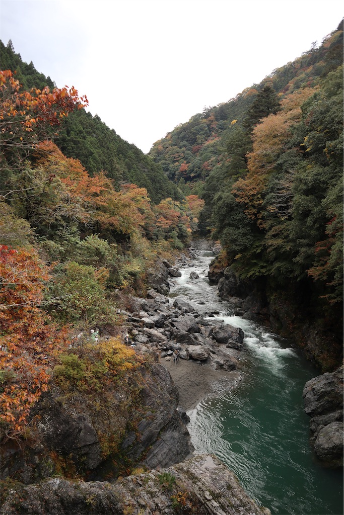 f:id:chizuchizuko:20181216070133j:image f:id:chizuchizuko:20181216070133j:image
