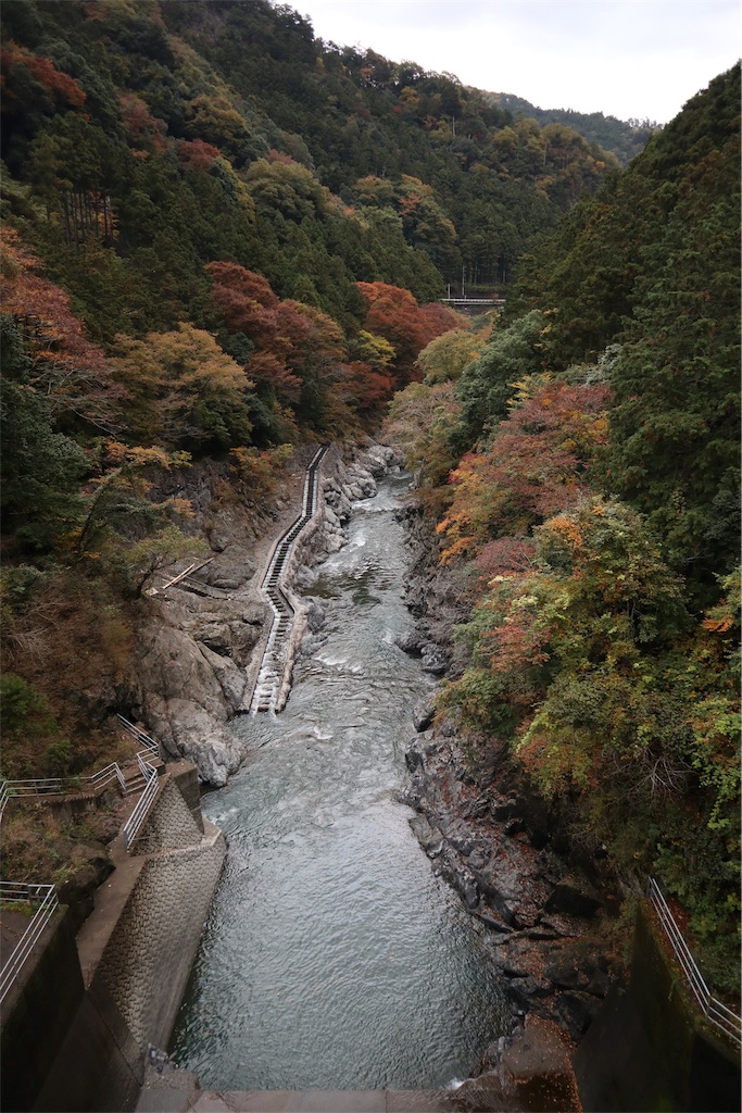 f:id:chizuchizuko:20181216070141j:image f:id:chizuchizuko:20181216070141j:image
