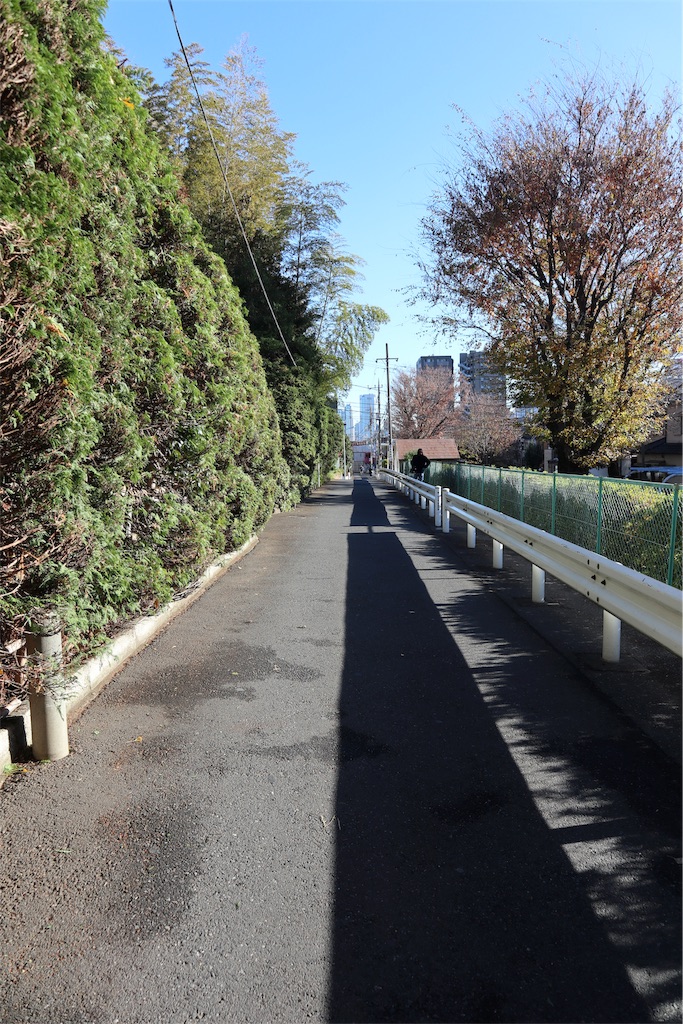 東武東上線 夏の風景 – 丘陵の狭間を縫う | いろどりの鉄道風景