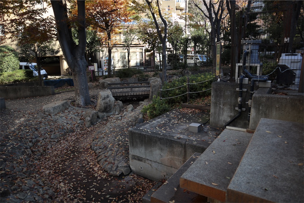 f:id:chizuchizuko:20181218190606j:image