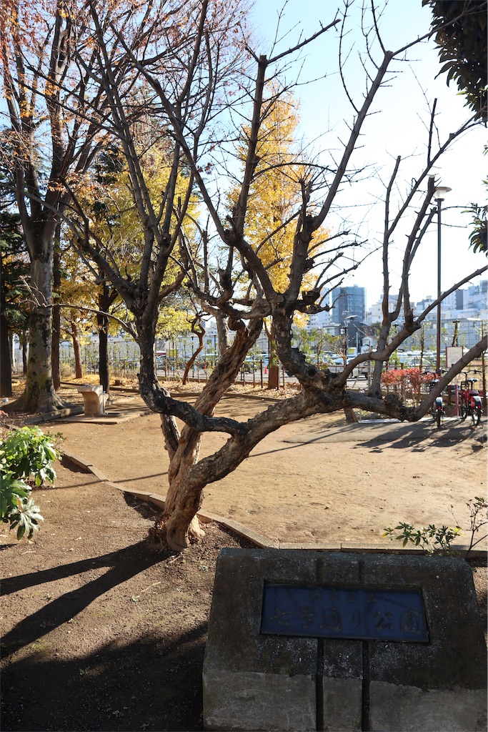 f:id:chizuchizuko:20181218190629j:image