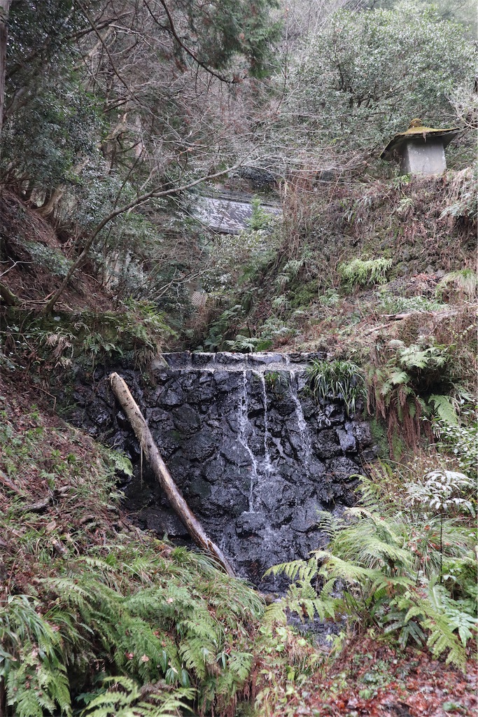 f:id:chizuchizuko:20181229222601j:image