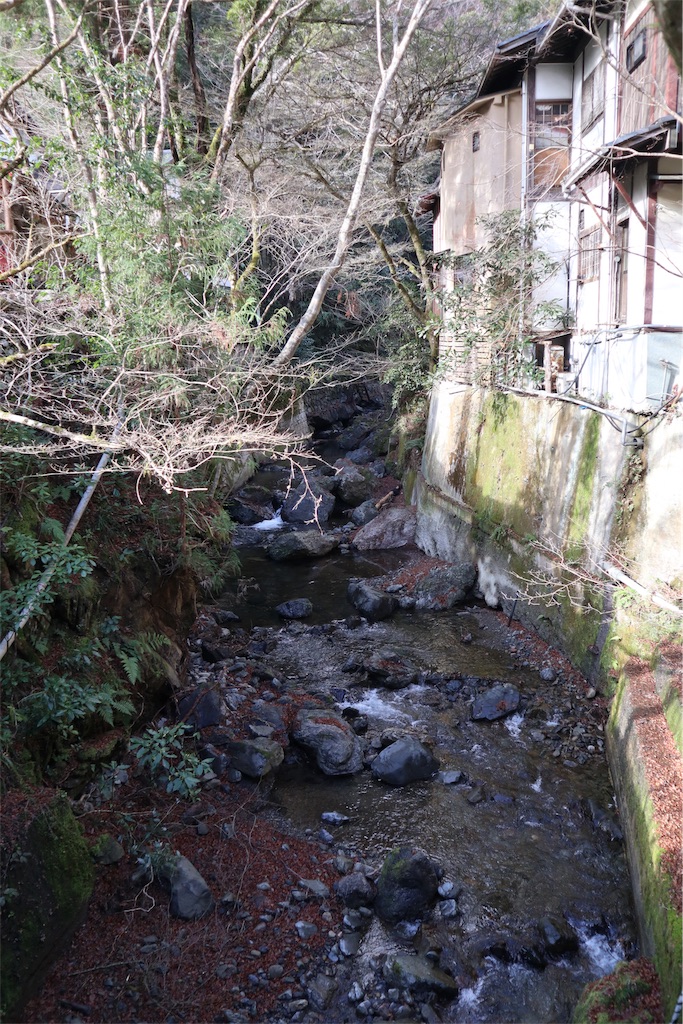 f:id:chizuchizuko:20181229222609j:image