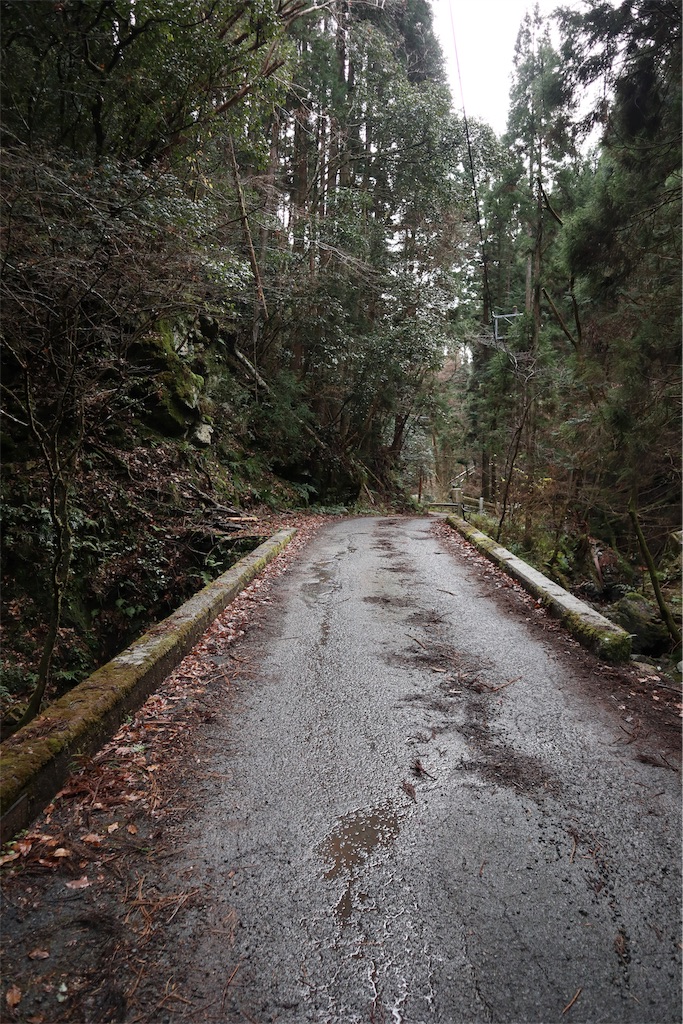 f:id:chizuchizuko:20181229222641j:image