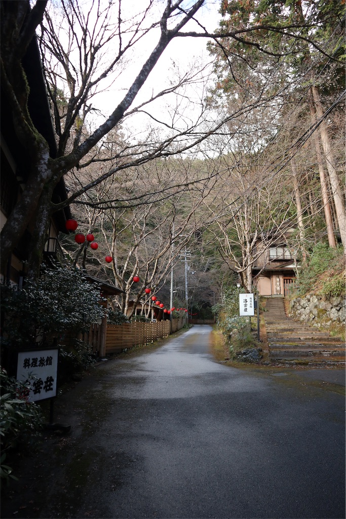 f:id:chizuchizuko:20181229222649j:image