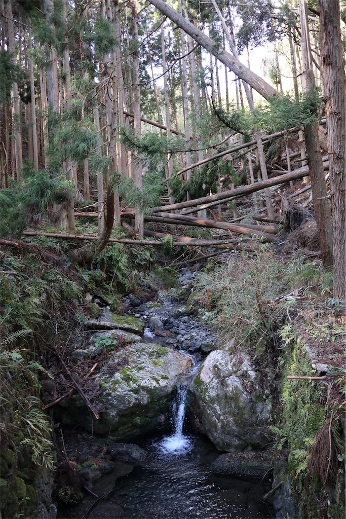 f:id:chizuchizuko:20181229223011j:image