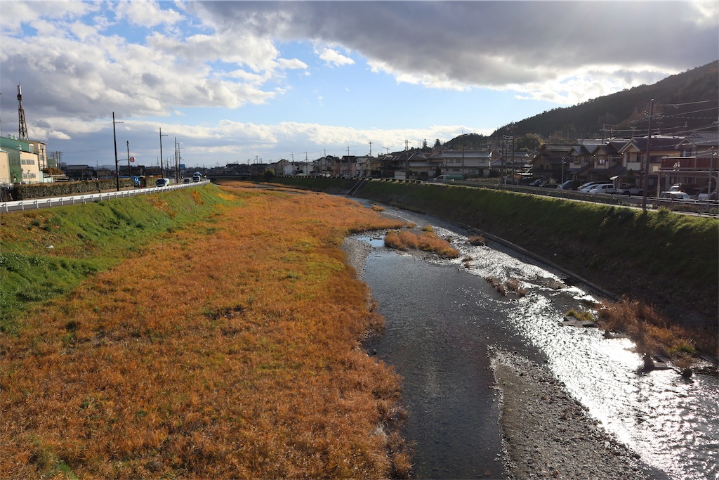 f:id:chizuchizuko:20181229223607j:image