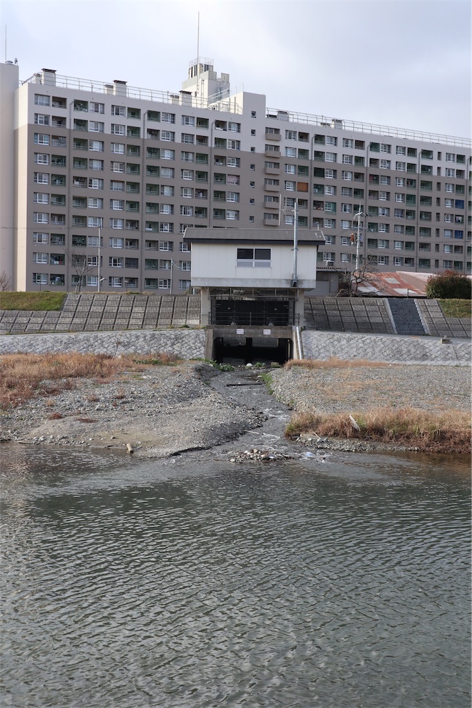 f:id:chizuchizuko:20181229230349j:image