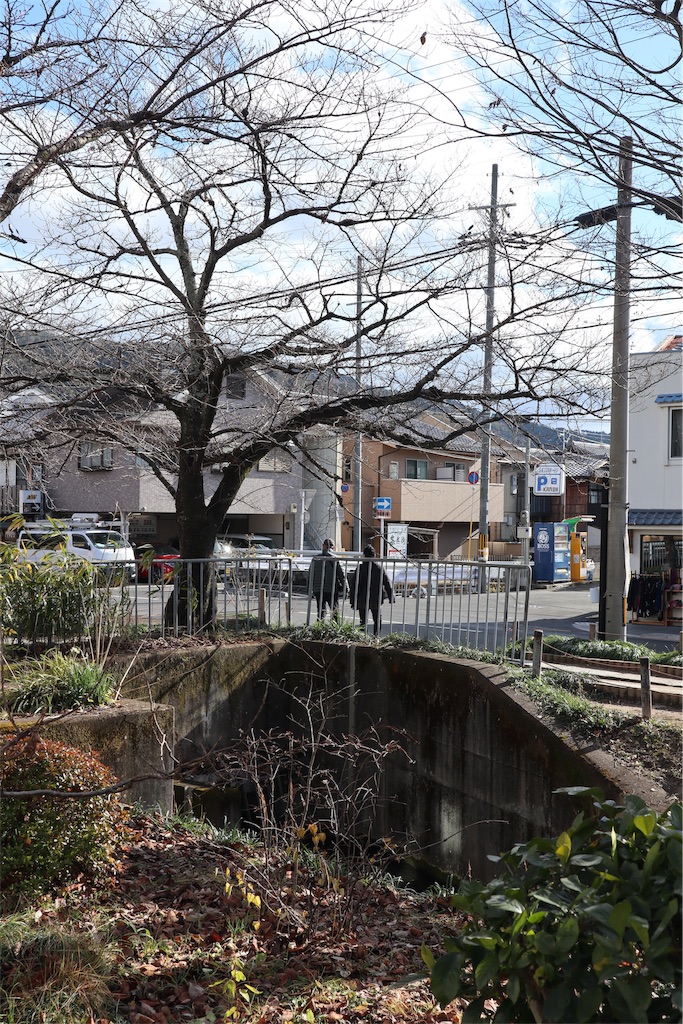 f:id:chizuchizuko:20181229231853j:plain f:id:chizuchizuko:20181229231853j:plain