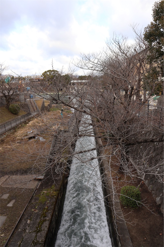f:id:chizuchizuko:20181229232325j:image