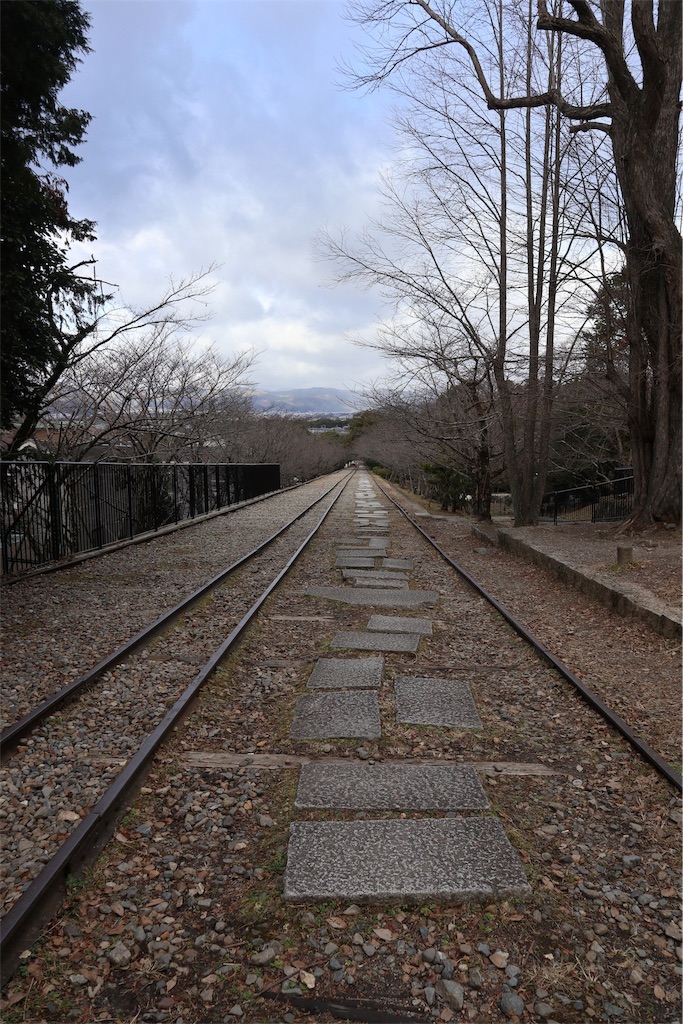 f:id:chizuchizuko:20181229232406j:image