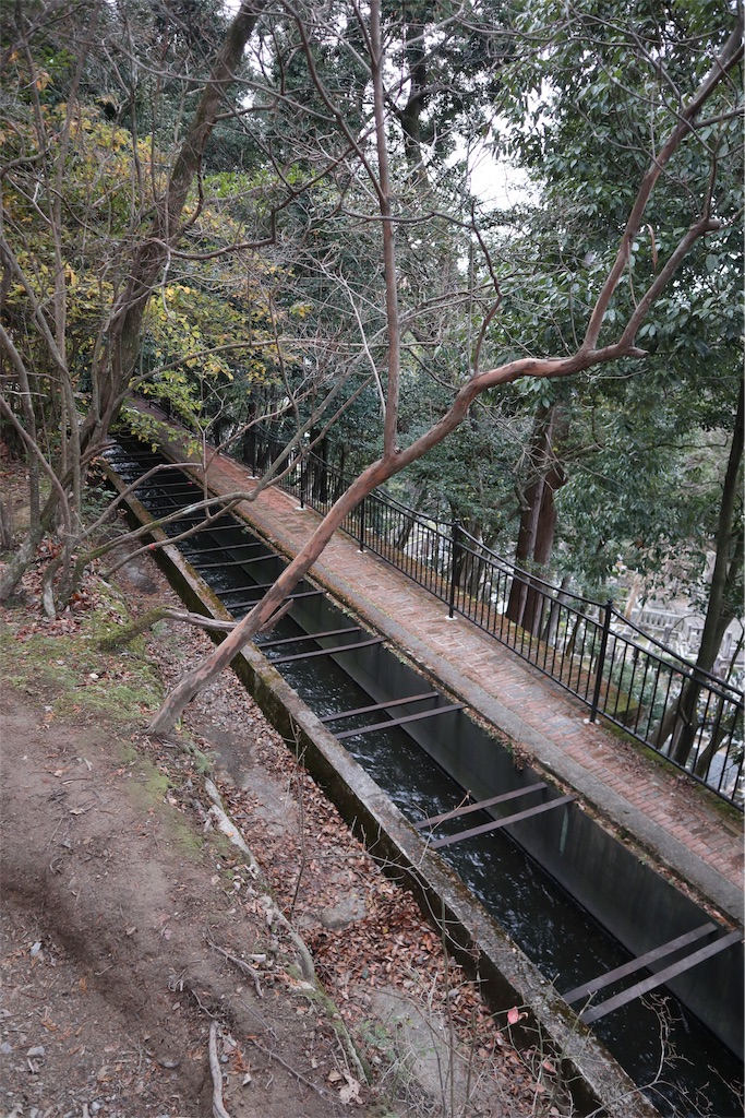 f:id:chizuchizuko:20181229232423j:image
