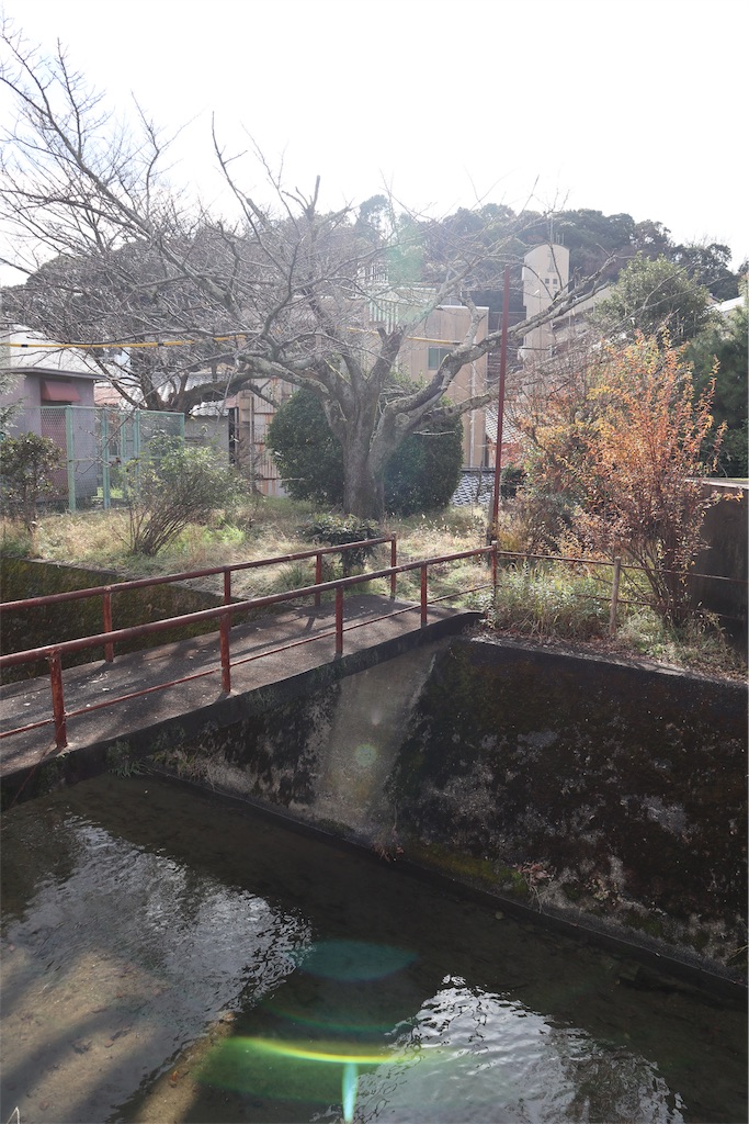 f:id:chizuchizuko:20181229232912j:image f:id:chizuchizuko:20181229232912j:image