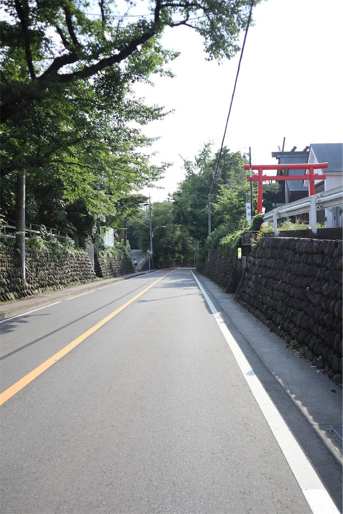 f:id:chizuchizuko:20190108193259j:image f:id:chizuchizuko:20190108193259j:image