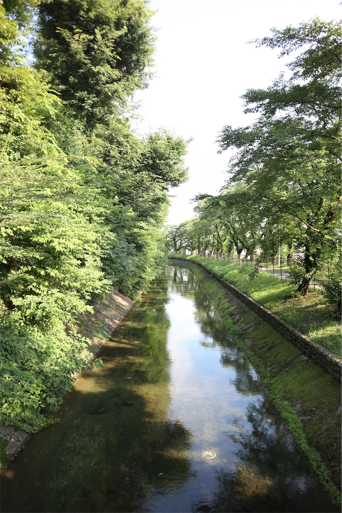 f:id:chizuchizuko:20190108193804j:image